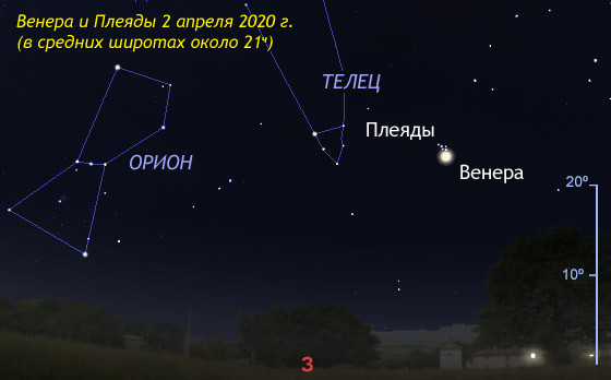 плохие дома для венеры (98) фото